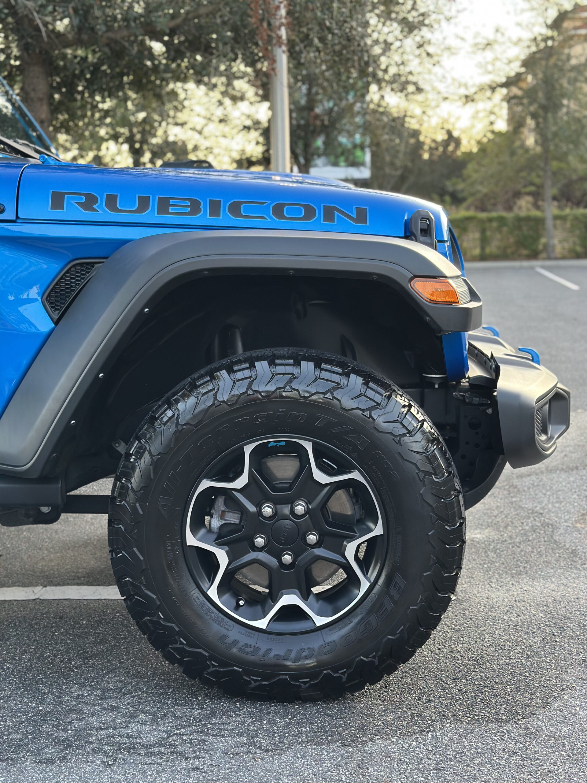 Exterior detailing Kissimmee