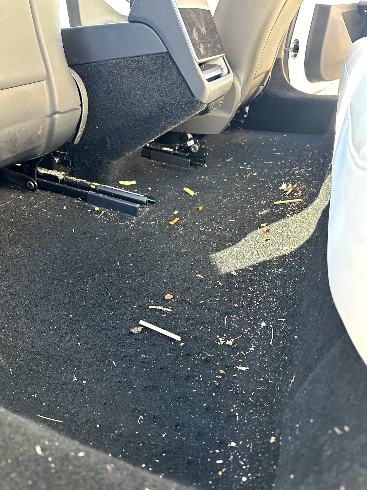 Before premium detail Tesla interior area 4