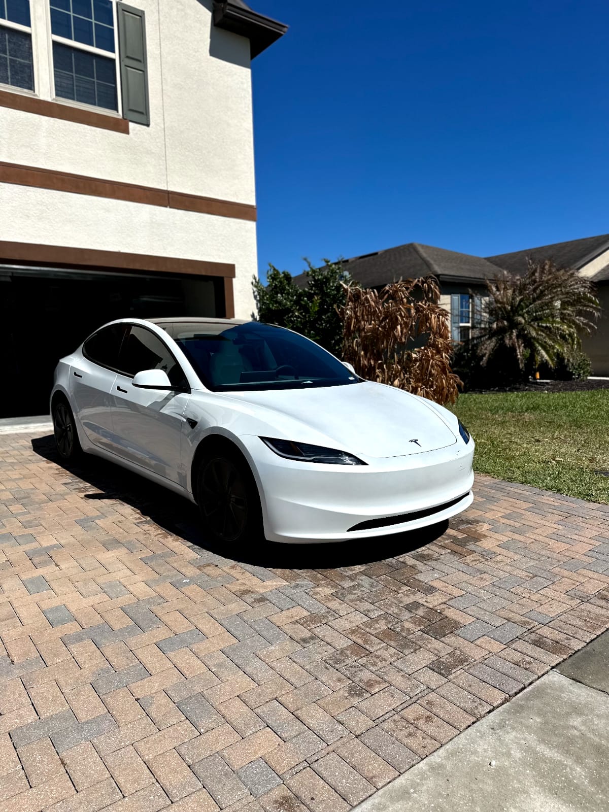 Full detail finished — Tesla final result view 1