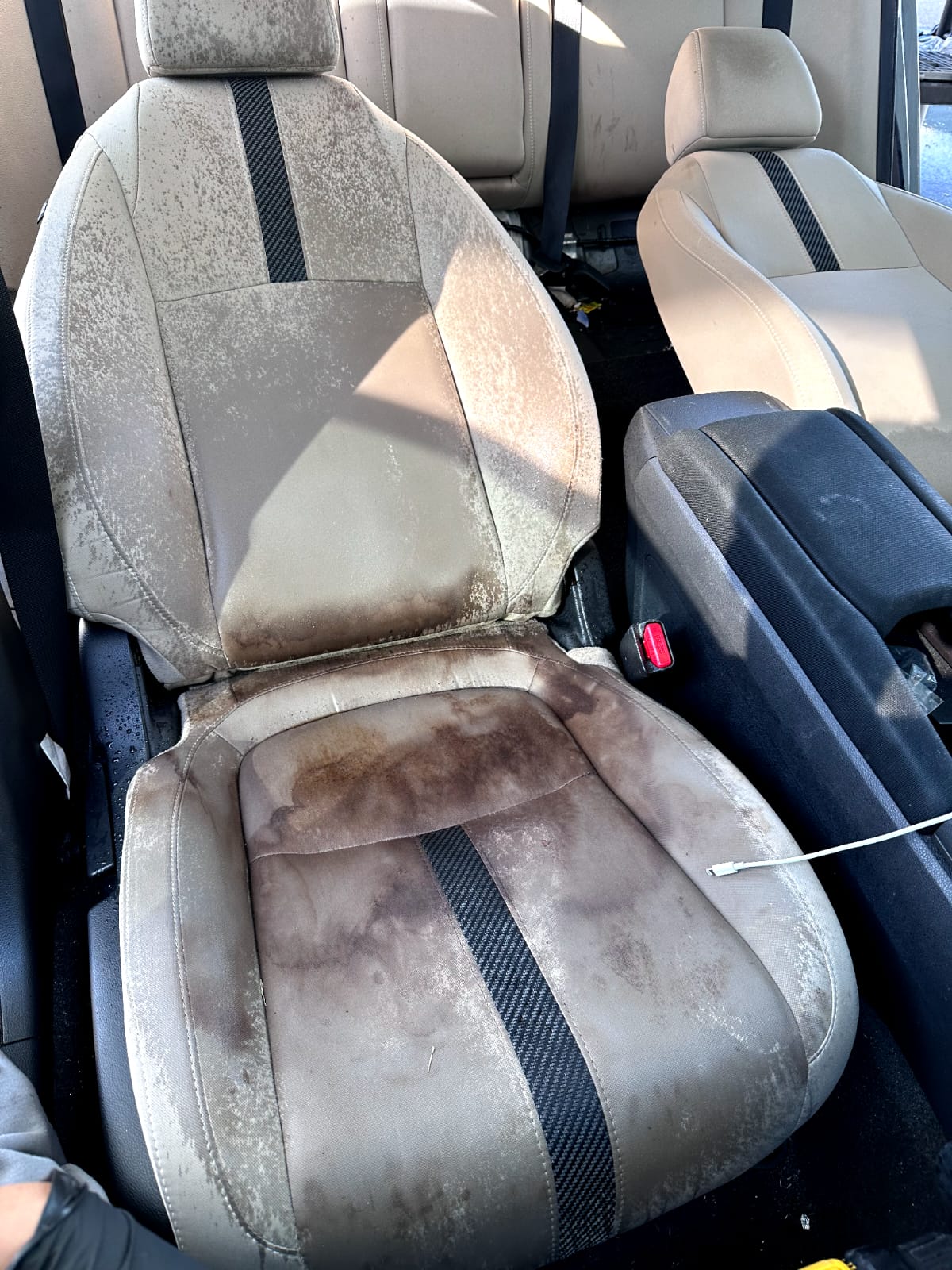 Interior detailing in Orlando — before condition